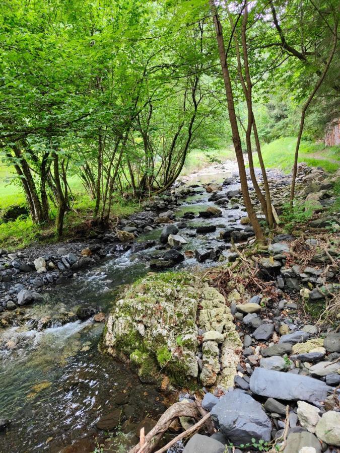 Апартаменты Gartzinea, Amplia Y Preciosa Vivienda Rural Ezkurra Экстерьер фото